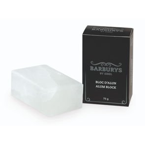 Barburys pierre d'alun